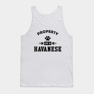 Havanese Dog - Property of a havanese Tank Top